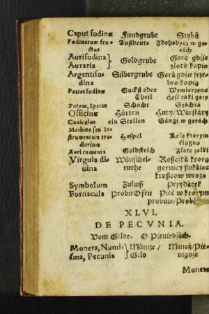 XLVI. De Pecvnia.