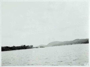 Der Orinoco als Grenzfluss unterhalb von Maipure