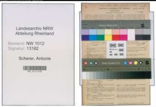 Entnazifizierung Antonie Scherer , geb. 21.11.1900 (Lehrerin)
