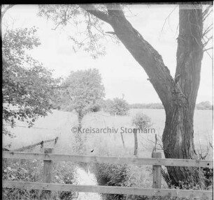 Stegen: Alte Alster: Alster-Beste-Trave-Kanal: Überreste: vorn Geländer: rechts Baum: hinten Bäume und Gehölz