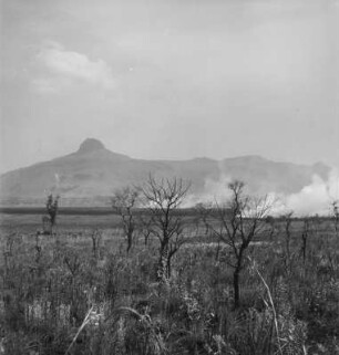 Graslandschaft : Abbrennen der Graslandschaft