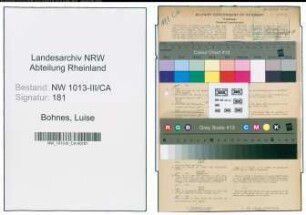 Entnazifizierung Luise Bohnes , geb. 13.04.1914 (Kaufmaennische Angestellte)