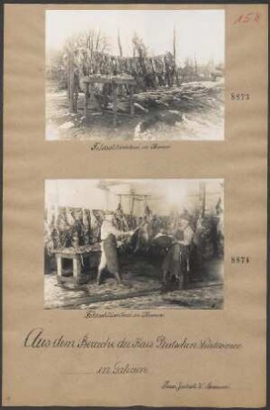 Feldschlächterei in Zborow