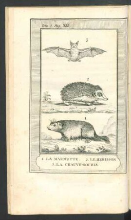 Tafel: La Marmotte, le Herrisson, la Chauve-Souris.