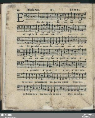 XI. Ego dormio; SWV 63
