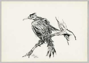 Der große Vogel