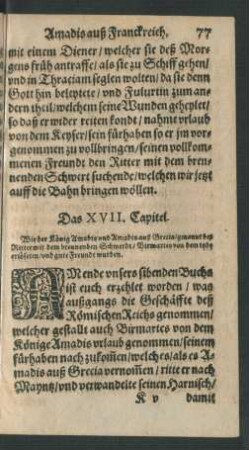 Das XVII. Capitel.