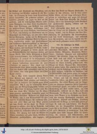 VIII. Die Lothringer im Elsaß.
