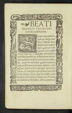Beati Ioannis Theologi Catholica epistola tertia.