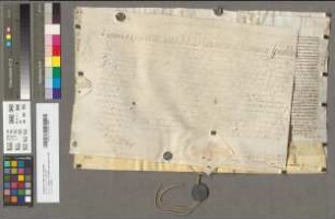 Päpstliche Provision für Johannes Baptista Bierens.