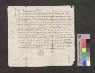 Rudolf von Blumegg gibt Kundschaft über eine Irrung, welche vor Jahren zwischen Hans von Baldeck und der Gemeinde Fischingen stattgefunden hat, weil Hans von Baldeck der Gemeinde den Zutrieb auf die Weide verbot.
