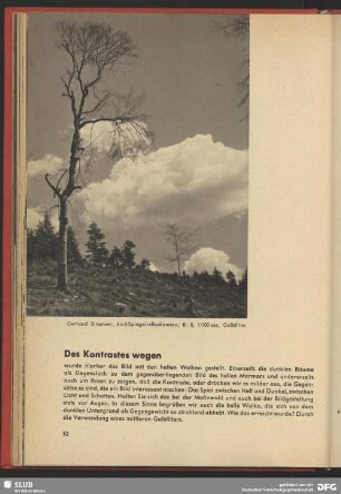 Des Kontrastes wegen