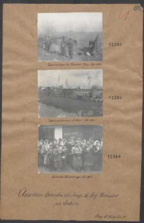 In Serbien: Ochsenkolonne in Serbien Nov. 1915