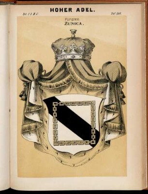 Taf. 398. Fürsten Zunica.
