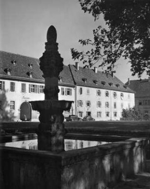 Brunnen : Brunnen (um 1774). Bad Mergentheim, Äußerer Schlosshof