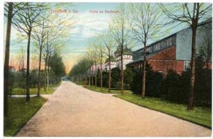 Limbach. Stadtpark