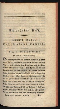 Achtzehnter Heft.