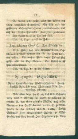 Sphynges. Schwaermer.