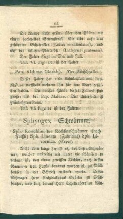 Sphynges. Schwaermer.