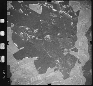 Luftbild: Film 50 Bildnr. 291
