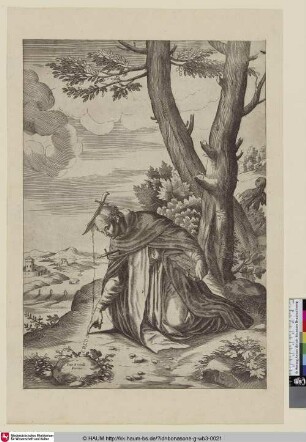 Petrus Martyr