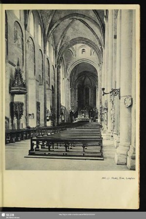 Abb. 37. Mainz, Dom, Langhaus