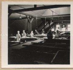 Weißenborn im Erzgebirge, Freiberger Papierfabrik AG