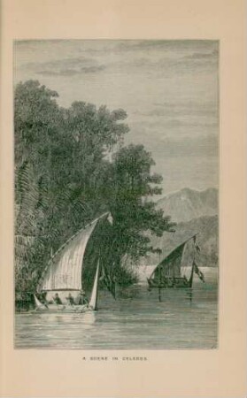 A scene in Celebes