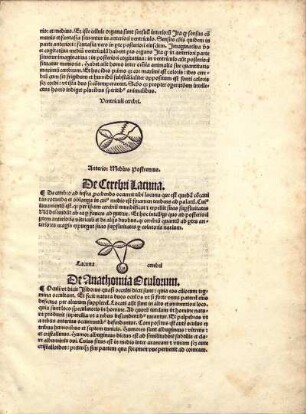 De Cerebri Lacuna.