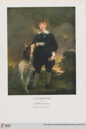 Nr. 336 (May 1925)