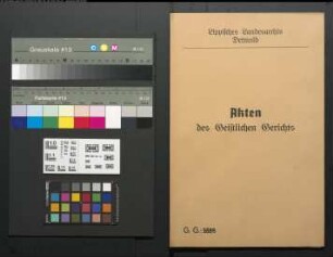 Leibzüchter Ehlebracht zu Schwelentrup gegen den Schullehrer Weber zu Linderhofe, wegen der Misshandlung eines Kindes