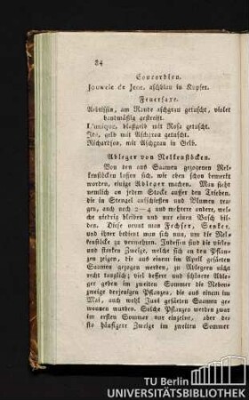 Ableger von Nelkenstöcken.