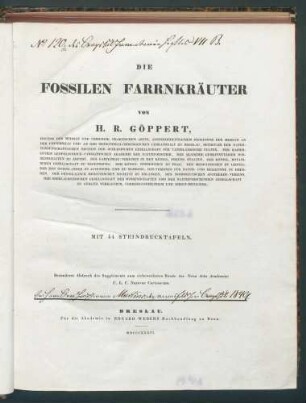 Die fossilen Farrnkräuter / von H.R. Göppert. - 2 Tab.