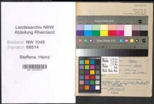 Entnazifizierung Heinz Steffens , geb. 28.02.1912 (Arzt)
