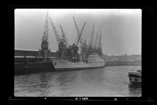 Caroline Horn (1960), Frachtschiff (reefer), H. C. Horn, Hamburg, Bau-Nr. 469