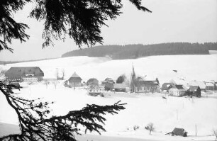 Waldau: Blick von der Höhe auf Waldau; Vordergrund Tannenast