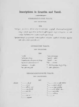 Inscriptions in Grantha and Tamil scripts