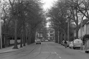 BNN-Leserbrief zur geplanten Fällung von Sumpfeichen in der Moltkestraße zwischen Blücherstraße und Kußmaulstraße