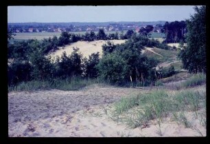 Heiligensee Dünen 3.7.66.