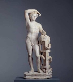Statue des Apollon, Typus Apollon Lykeios