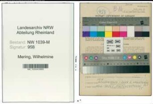 Entnazifizierung Wilhelmine Mering , geb. 07.12.1906 (Aerztin)