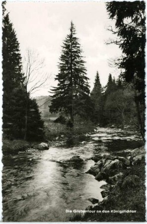 Grabentur. An der Grabentour, an den Königsfichten