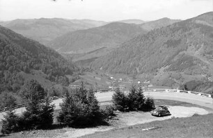 Serpentine auf der Straße Präg - Todtmoos