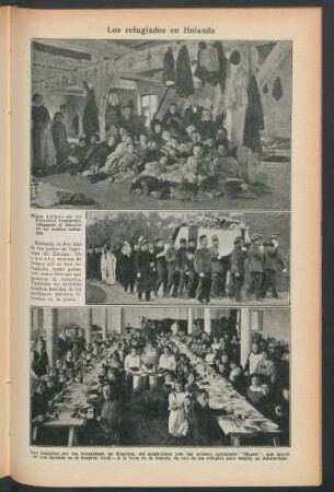 Los refugiados en Holanda