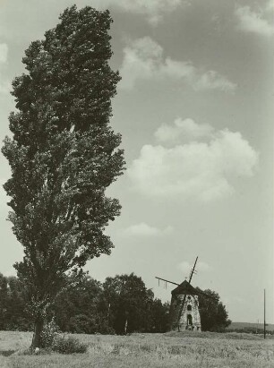 Dresden-Gohlis