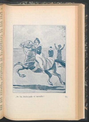[Ilustración h] - ¡Se ha desbocado el cavallo!