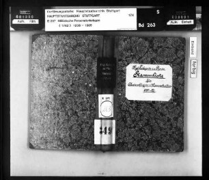 Stammliste für Unteroffiziere und Mannschaften der Leibgarde zu Pferd