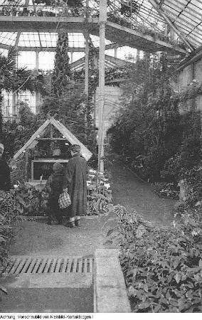 Verschiedenes, Gespräch mit Erwin Geschonneck über seinen Film "Hauptmann von Köln", Palmenhaus in Pillnitz, Schwäne im Großen Garten, Brunnen vor dem Studentenwohnheim Güntzstraße, Geldgewinn beim Sporttoto, Kulissenaufbau für den Film "Rosenstrasse", Reproduktionen: Mordlisten des Besattungsamtes der Nationalsozialisten, u.a., Januar-Juni 1957