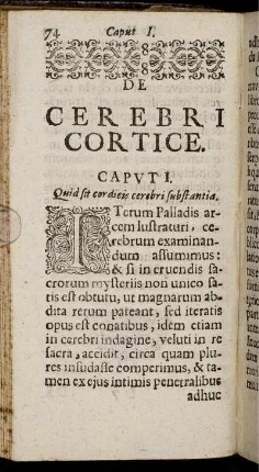 De Cerebri Cortice.