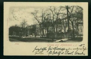 "Gruß aus Heilbronn" - Allee